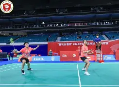 丹麦羽毛球队血洗法国羽毛球队，斯里坎特绝境逆转的简单介绍