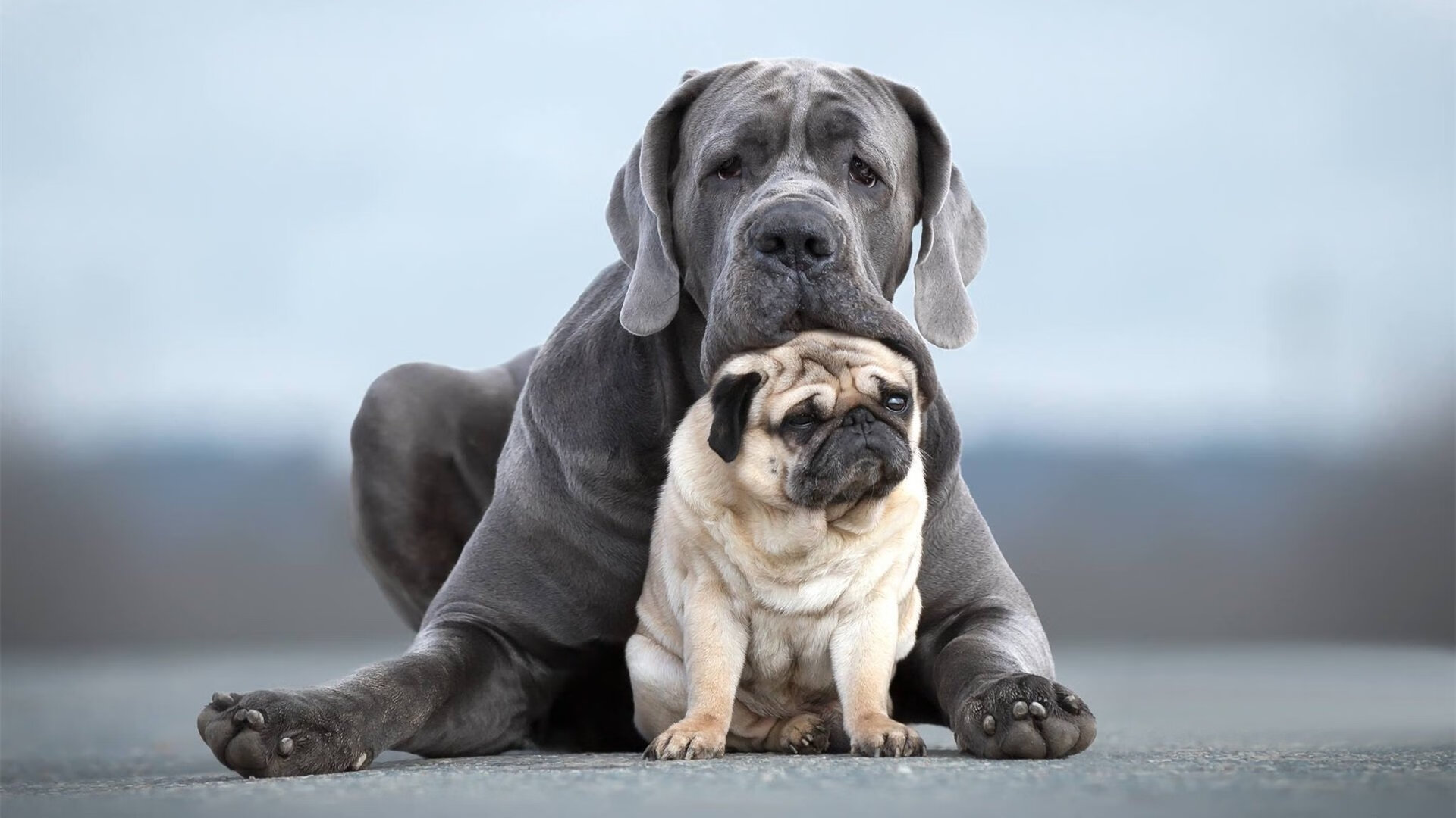魔笛再现！牙买加中场大师决胜局爆发，一脚定乾坤送加拿大回家